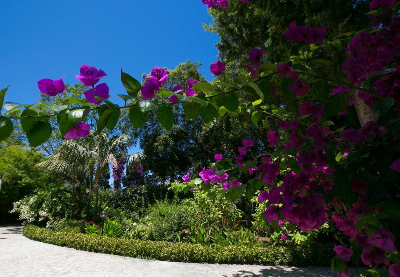Villa Pampalone - B&B In Dimora Storica Trapani Luaran gambar