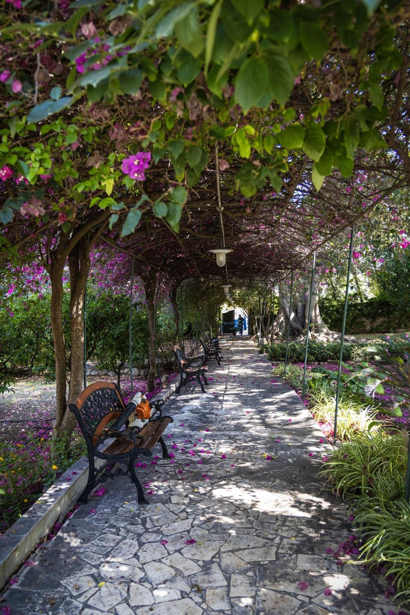 Villa Pampalone - B&B In Dimora Storica Trapani Luaran gambar