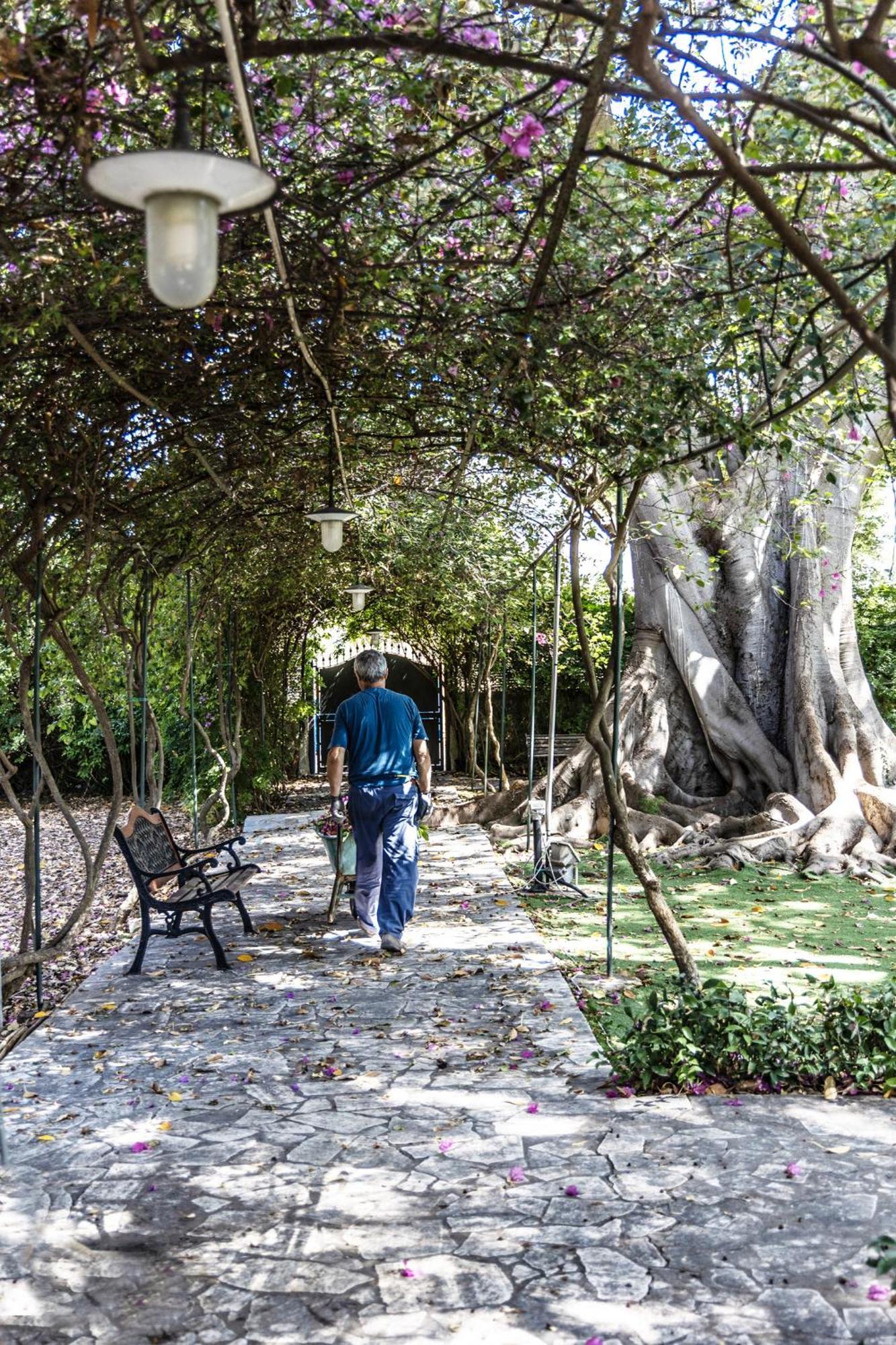 Villa Pampalone - B&B In Dimora Storica Trapani Luaran gambar
